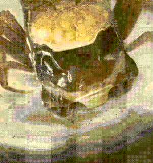 a59dc23eb051d8b457bbc9cafc0441c2.gif