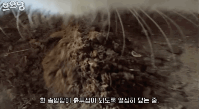 a687ee6731fd7a883c2126978c91cc31.gif