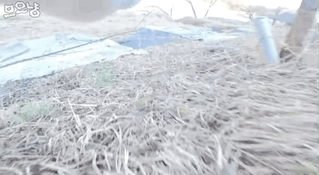 a7d106175c90807f8bb72588ae9e68cf.gif