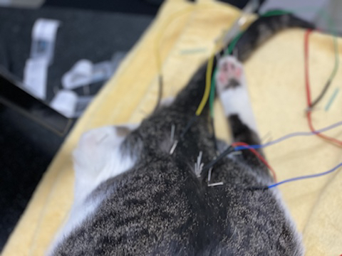a8e660c91ed6b0aa05f4f51a1563c6c5.jpg