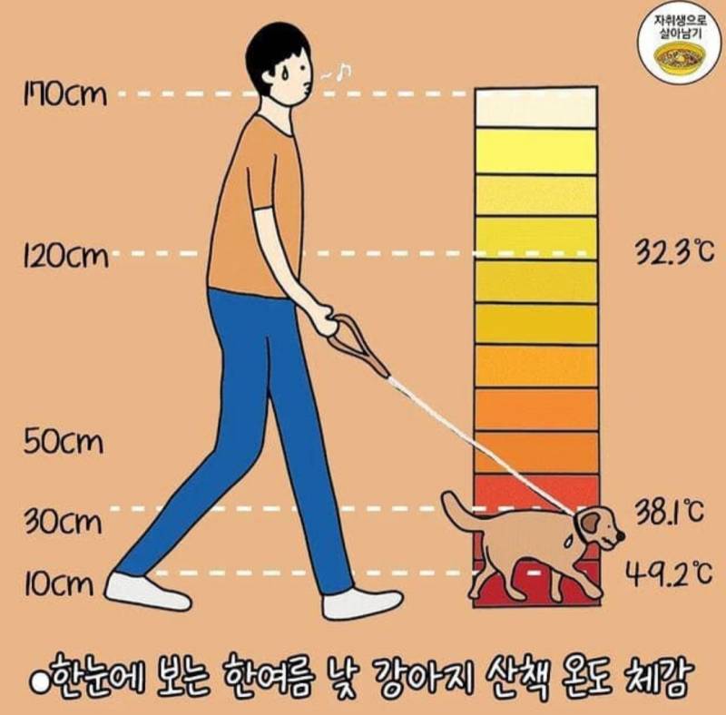 aa8616cda0fb9d4aa07e0aa51b42d54a.jpg