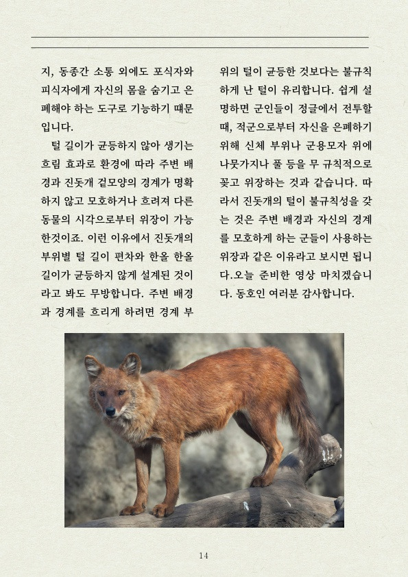 ab9837ed637fdbb1762f23c7b653d446.jpg