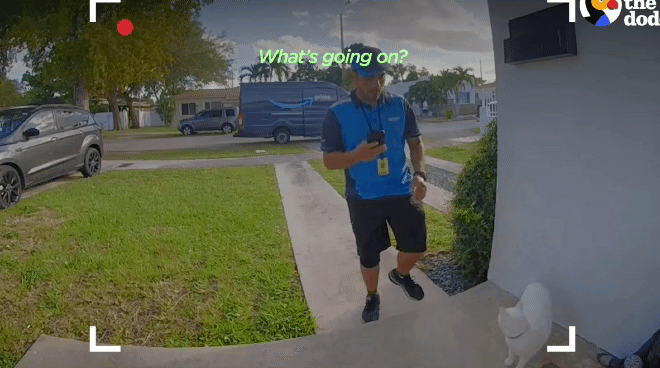 ad45332f991bc74a341173f386fe63df.gif