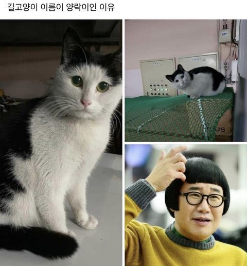 af4c0581cf3f080e3089fb3d5f5daaad.jpg