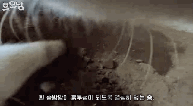 b00f1b142ac12fa3efb29b51fa88908d.gif