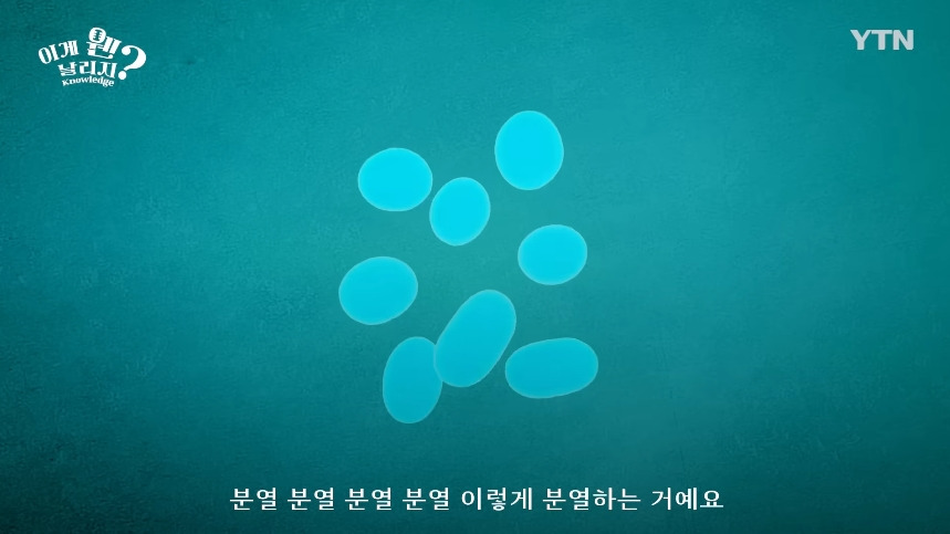 b0aee5dfb0a6ae3ab570378909537dfa.jpg