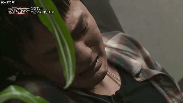b100335745437b215b37a16a705c5073.gif