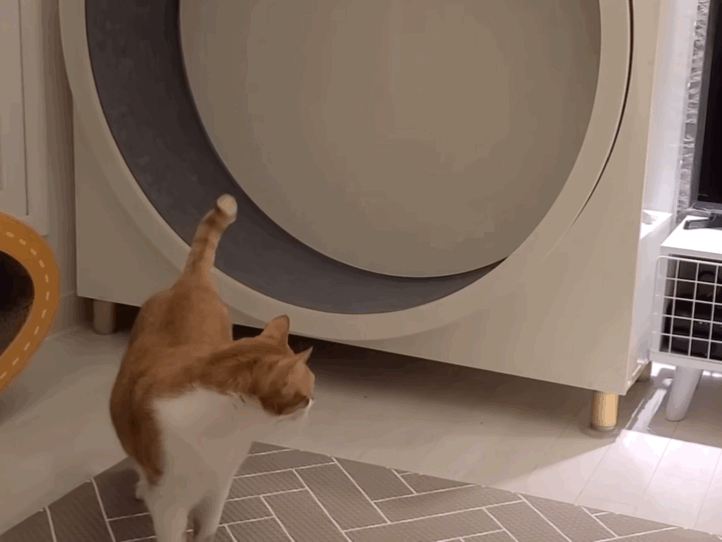 b2172dd939b84a524b308031e833df95.gif
