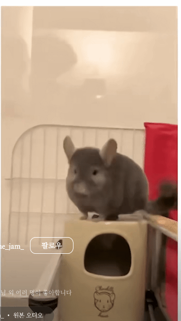 b2694e3a521a7d7f6bdc8b2e19747a96.gif
