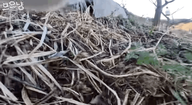b47426cac9c2374f9eac98cfb278c9ef.gif