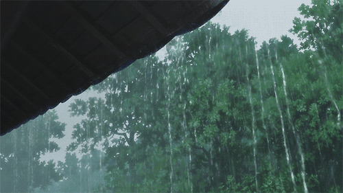 b66e785a71f94eac50599cffd21644bf.gif