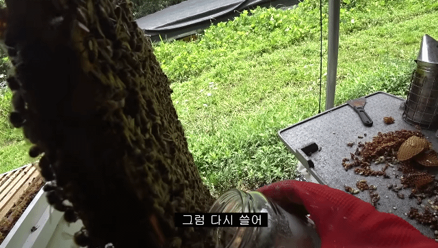 b74850cb0efec105bc1f312c6c10205f.gif