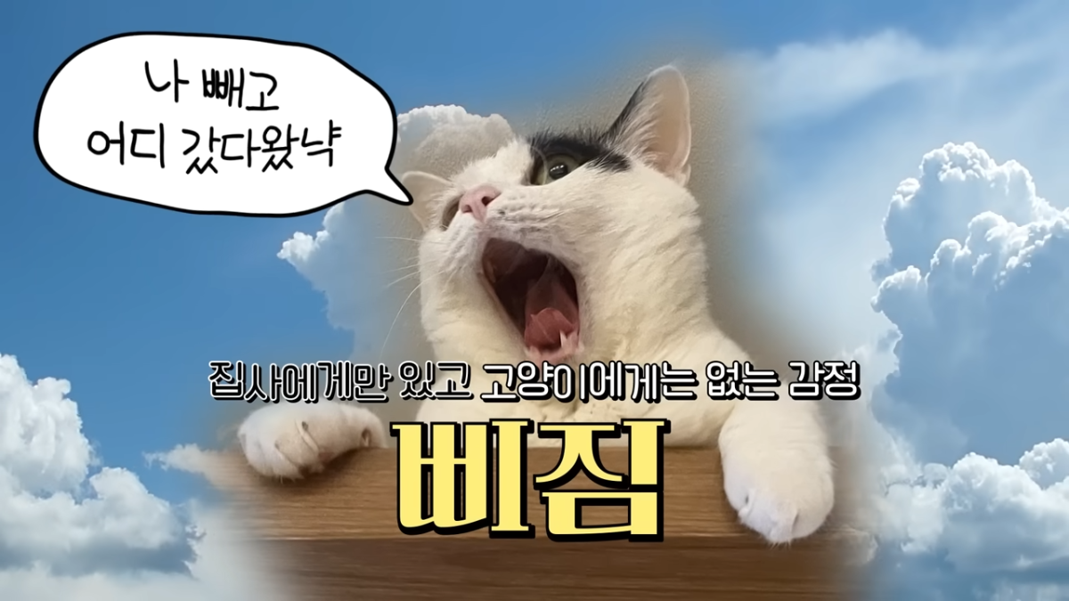 b85eabd84b1de97b16dd501994b4ad0f.png