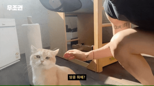 b87891b2b51c07e39031f6f223cbe093.gif