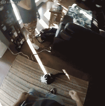 b8ad4a60aeb862f79ae2e2aa2ac4b19a.gif