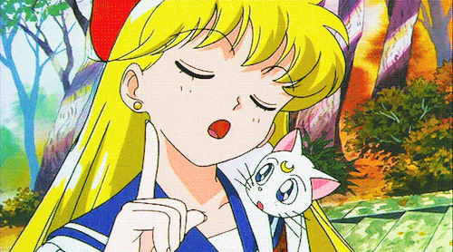 b927a7a9a46c5720213d60fc82b96703.gif