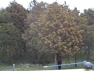 b97e7c926ab59f7759988514e8dec506.gif