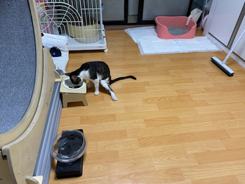 ba7e0113ee3ab83fa439fd6cc9ca0553.jpg