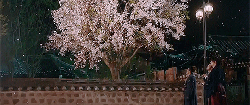 bcf58be7d9e77810a818877ac82c8b2a.gif