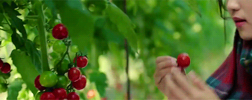 bd92faa3e6694bb5ae495f22475a1b70.gif