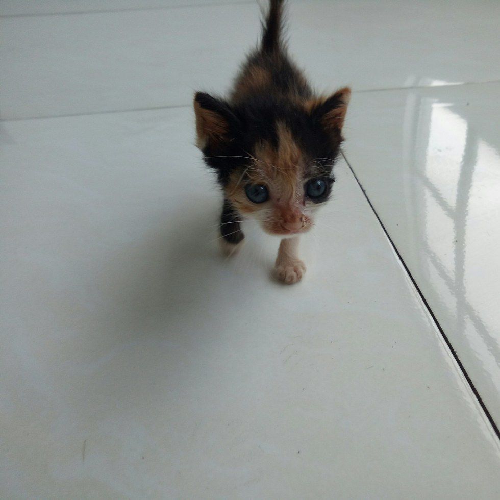 be138f4c063a8f6983cbee918dbba3c3.jpg