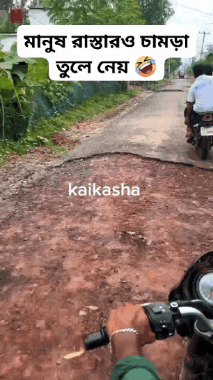 c0f19e94d99cd4cf3776256a256c684e.gif