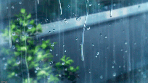 c18c073f9a32d4c23a6f92dc0fec5527.gif