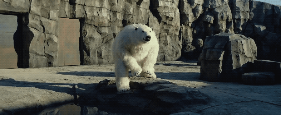 c5072c929c6d2c8f20096179cb5cfb81.gif