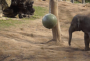c82b6fadd4a097b89fd13d07b3853b7f.gif