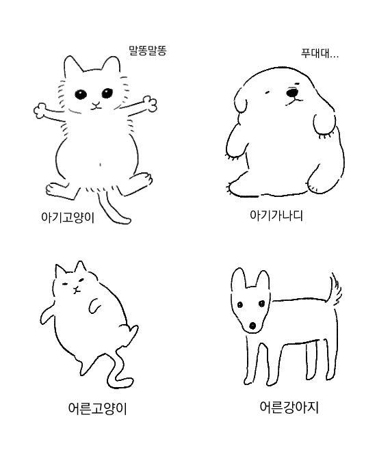 c97f3b2ea366cc984a88aded669b1924.png