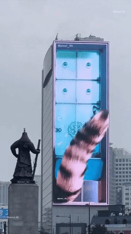 c9b204b5c926200ff80094a79b52a0ec.gif