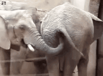 cbfc607970e408e8f43dcf4929963e83.gif