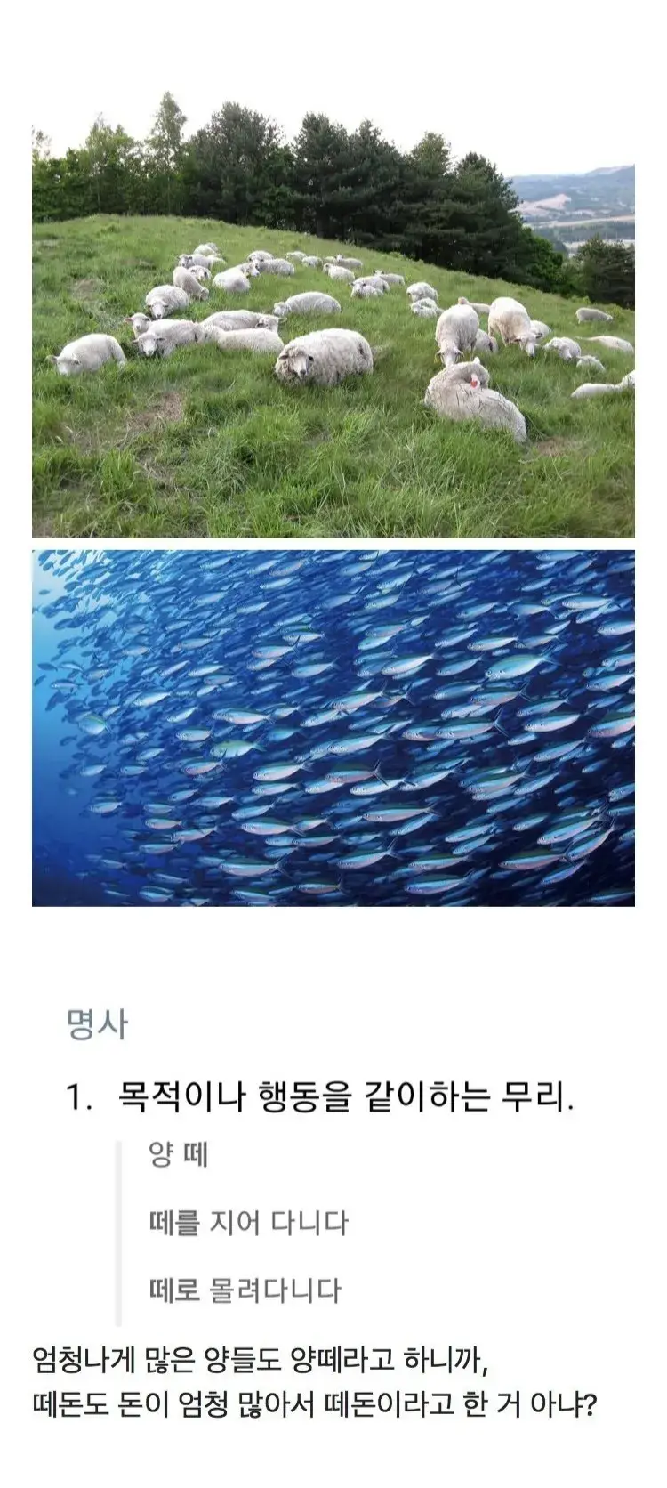 ccbaaf2900212ce83c3751cabb4e168b.png