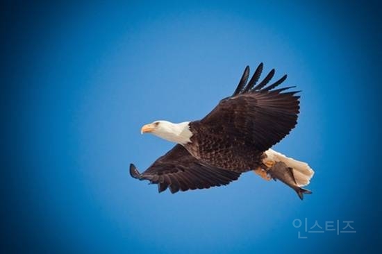 cd6b0401cd4dfcb1e519107d1e295f96.jpg
