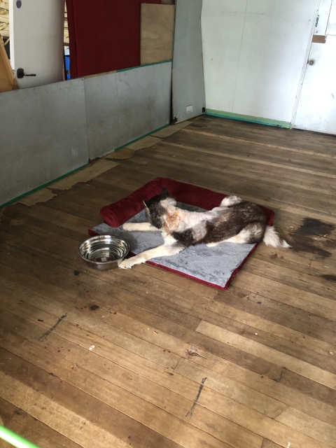cfc6441647d09334bf52559955e8ee74.jpg