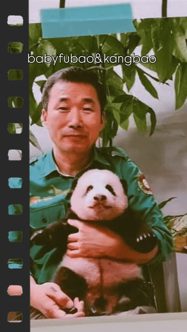 cfe9a5d0a3ba82ab90186ac5322c1bed.gif