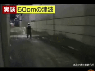d0b24720ab9eb6221e53e153df67a975.gif
