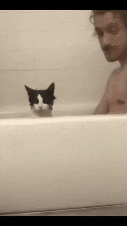 d189cd4ca7eb81dbb178d50b6cb5bb7a.gif