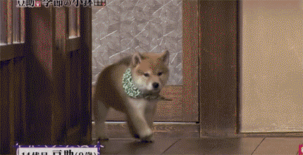 d233a4f9d79c9009a289b6b2f1bdc6a3.gif