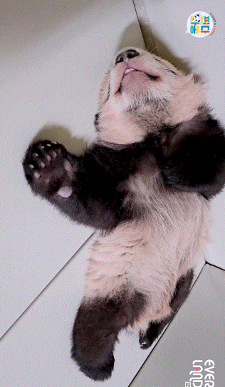 d24f9fc081b3450c685eb2c84d50d532.gif