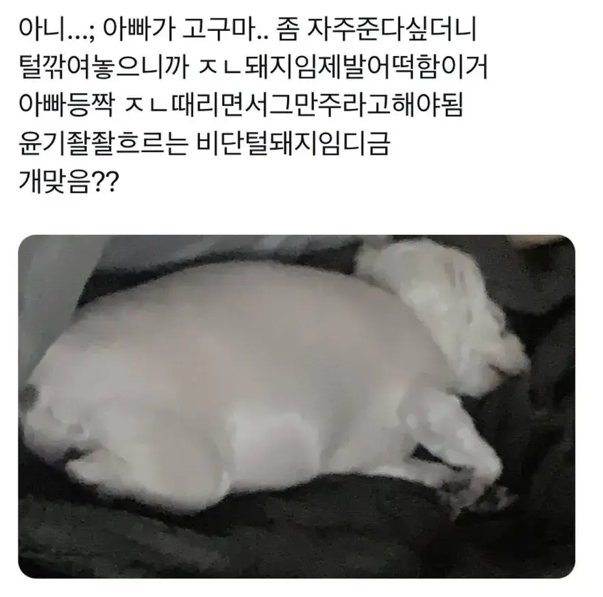 d32416282ff51b03ba1fab1d29a882ce.png