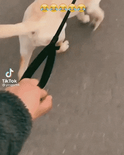d3c1283b9d469f079fcf77fc7d3874b6.gif