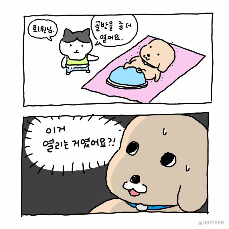 d41e9868d5fe637acc76bae61ba9c257.jpg