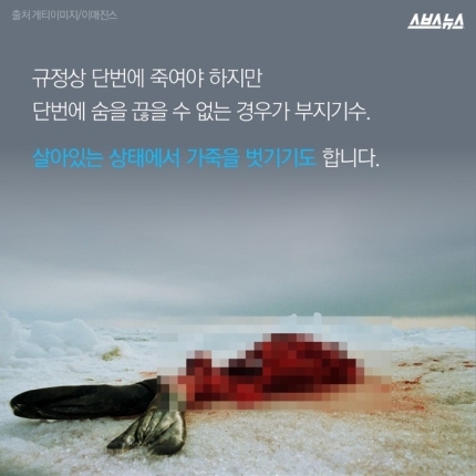 d4e3810accf0193cd09a789d624a7138.jpg