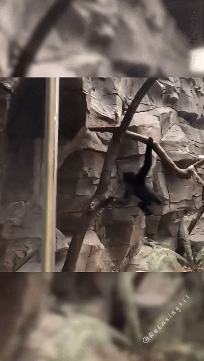 d5e3296a106e90bca9efc35888f6bc07.gif