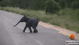 d621bcd146815c21095b1cf814fbe3f1.gif