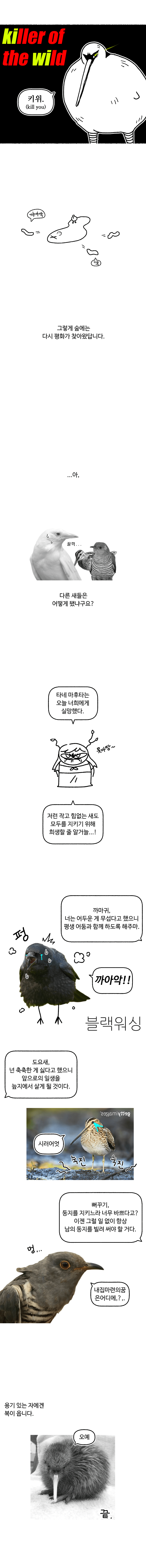 d6a9ee615c11e2e35f669a96fa6c3445.png