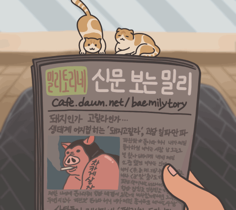 d7c458a737f4a18aede62663f1363d3f.gif