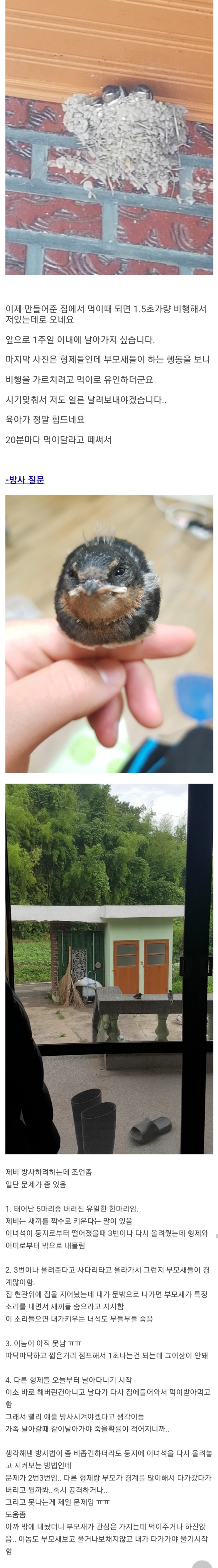 d809fa31d7f74481546c4ddfa6015ad1.jpg
