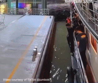 d88c817a363c6c1360785480fcef4fd5.gif